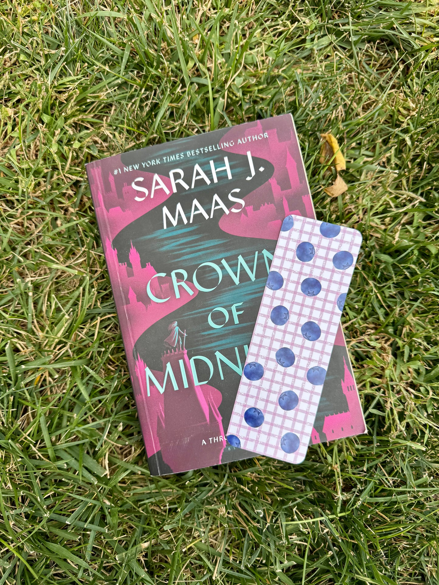Fruity Bookmarks